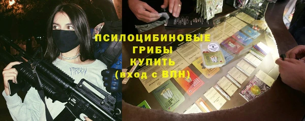 индика Снежинск